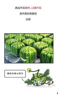 51吃瓜群众今日大瓜网红黑料,今日大瓜网红黑料曝光